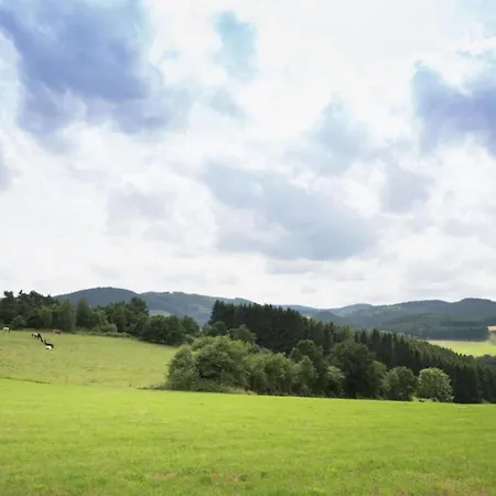 Villa Wundervilla In Hessen In Waldnaehe Vöhl