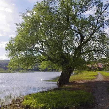 Villa Wundervilla In Hessen In Waldnaehe