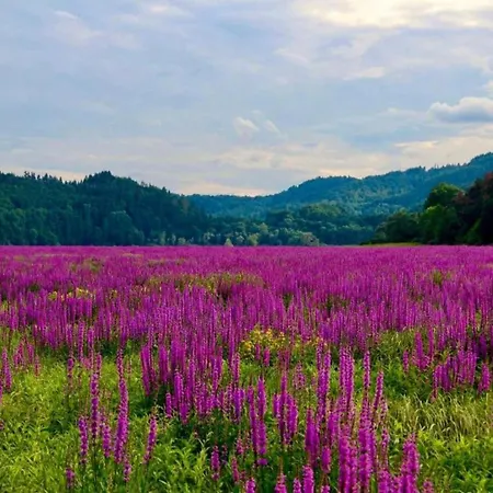 Wundervilla In Hessen In Waldnaehe *