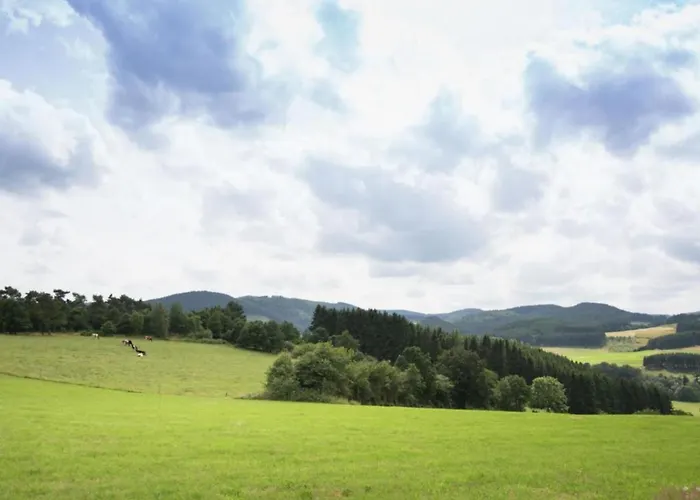 Villa Wundervilla In Hessen In Waldnaehe Vöhl