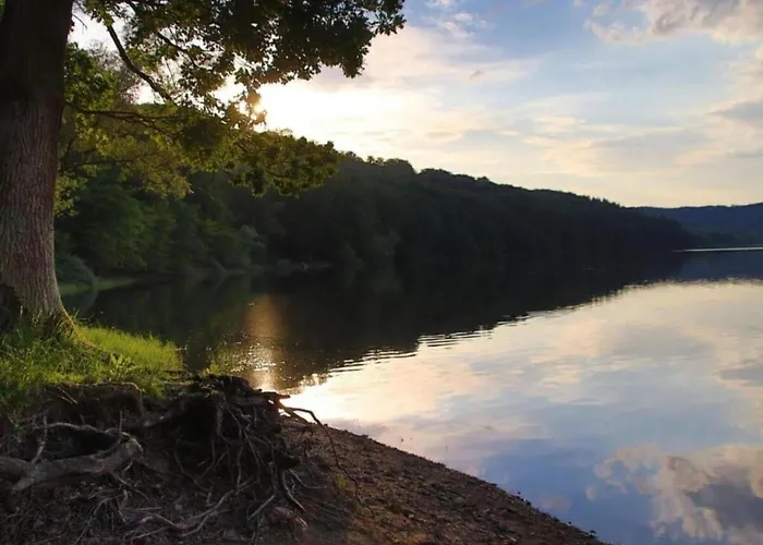Wundervilla In Hessen In Waldnaehe Villa Vöhl