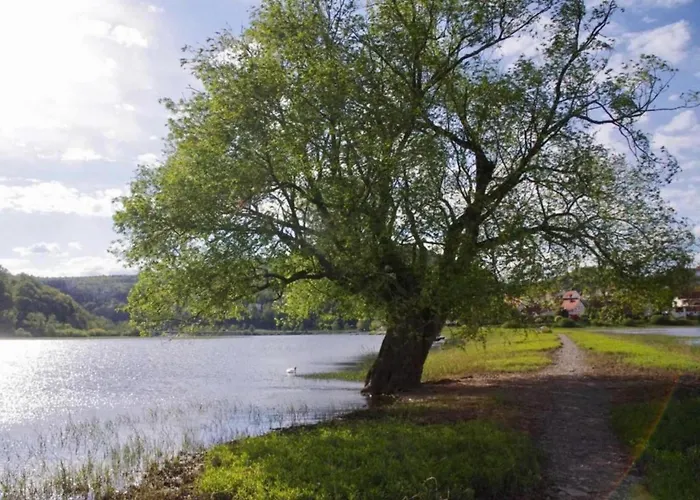 Vila Wundervilla In Hessen In Waldnaehe