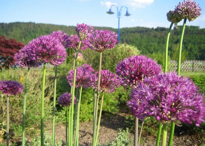 Villa Wundervilla In Hessen In Waldnaehe Vöhl